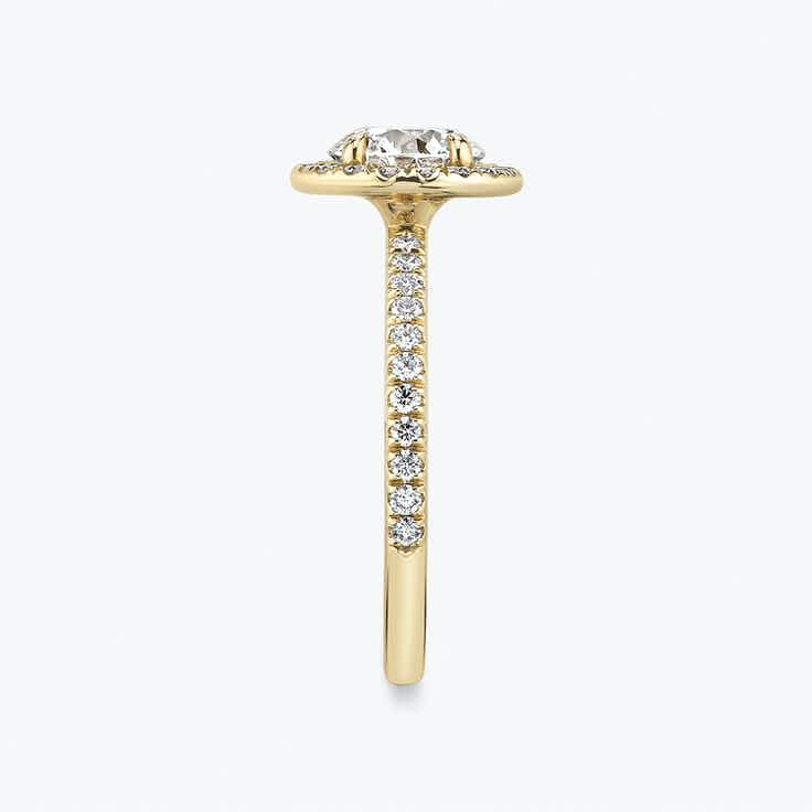 Halo Round Brilliant Ring with pave - Yellow Gold