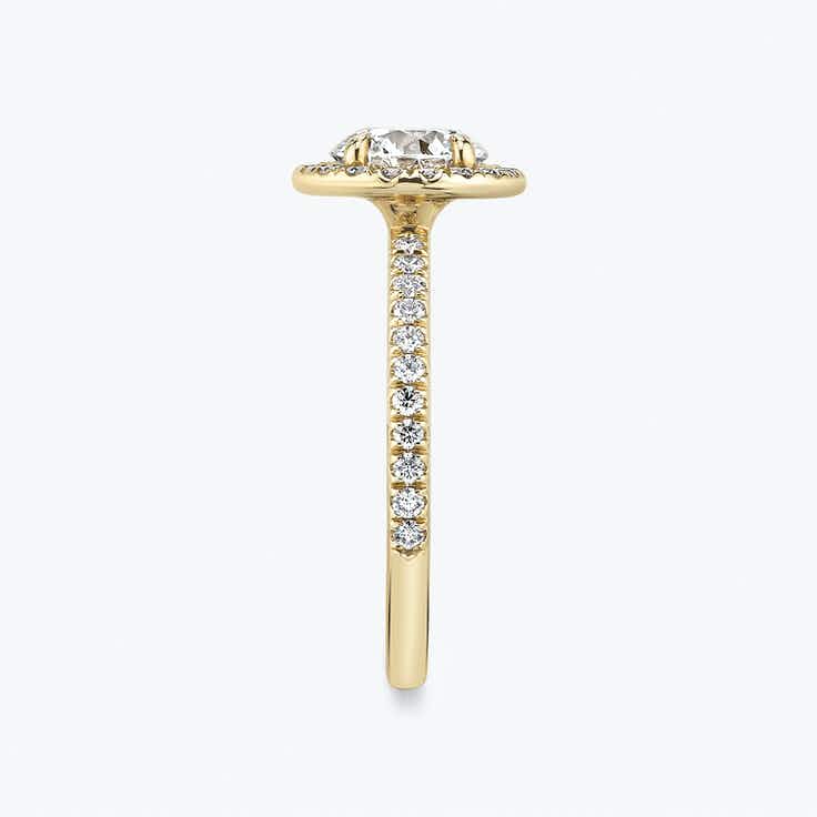 Halo Round Brilliant Ring with pave - Yellow Gold - Bodega